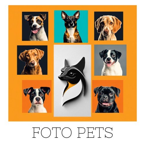 Foto Pets