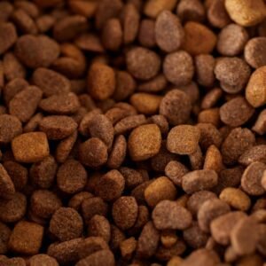 Alimentação Personalizada para Pets em 2026: A Nova Era da Nutrição Animal